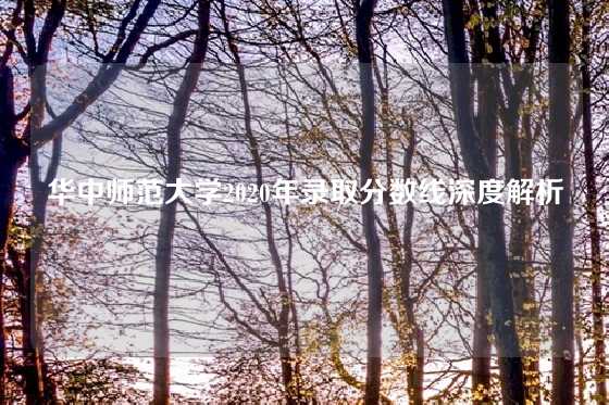 华中师范大学2020年录取分数线深度解析