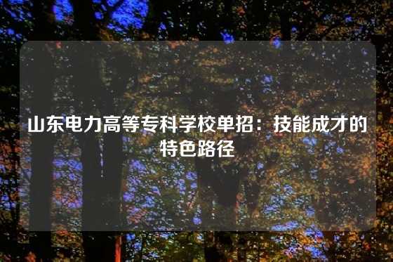 山东电力高等专科学校单招：技能成才的特色路径