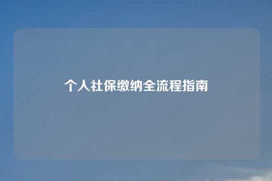 个人社保缴纳全流程指南