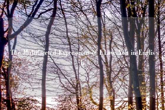 The Multifaceted Expressions of I Love You in English