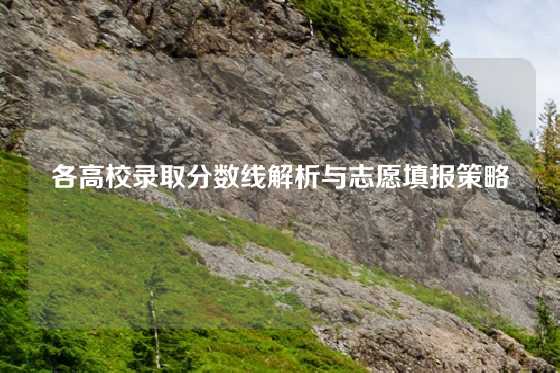 各高校录取分数线解析与志愿填报策略