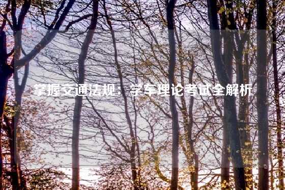 掌握交通法规：学车理论考试全解析