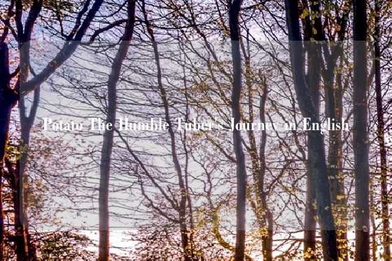 Potato The Humble Tuber's Journey in English