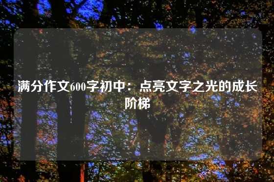 满分作文600字初中：点亮文字之光的成长阶梯
