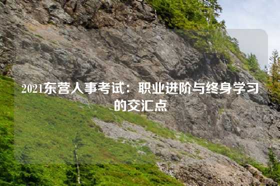 2021东营人事考试：职业进阶与终身学习的交汇点