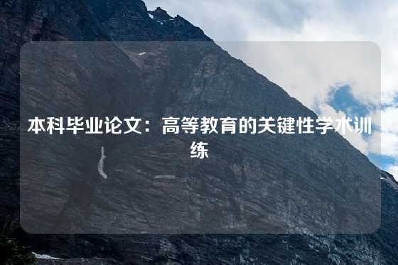 本科毕业论文：高等教育的关键性学术训练