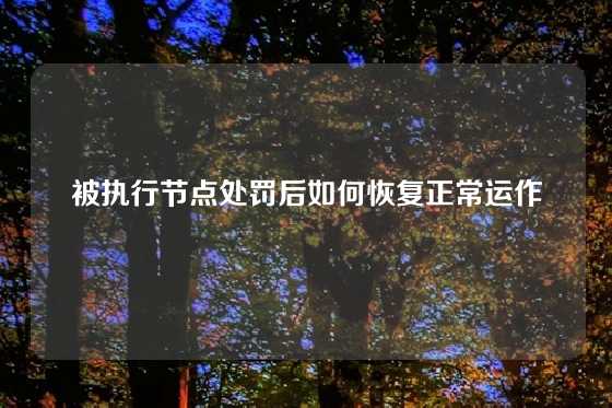 被执行节点处罚后如何恢复正常运作