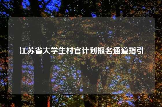 江苏省大学生村官计划报名通道指引