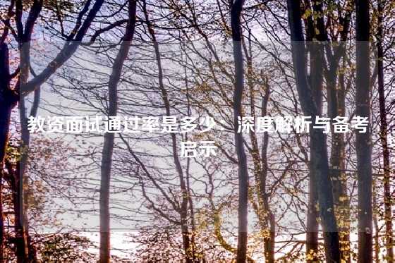 教资面试通过率是多少：深度解析与备考启示